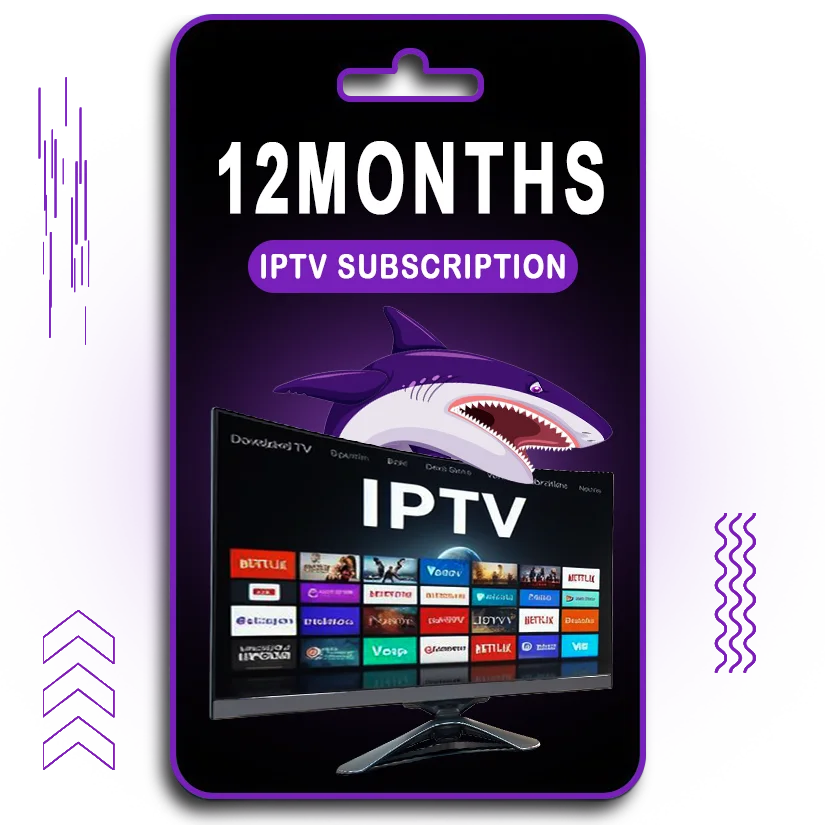 12 months iptv subscription